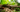 Drip Irrigation Setup Guide